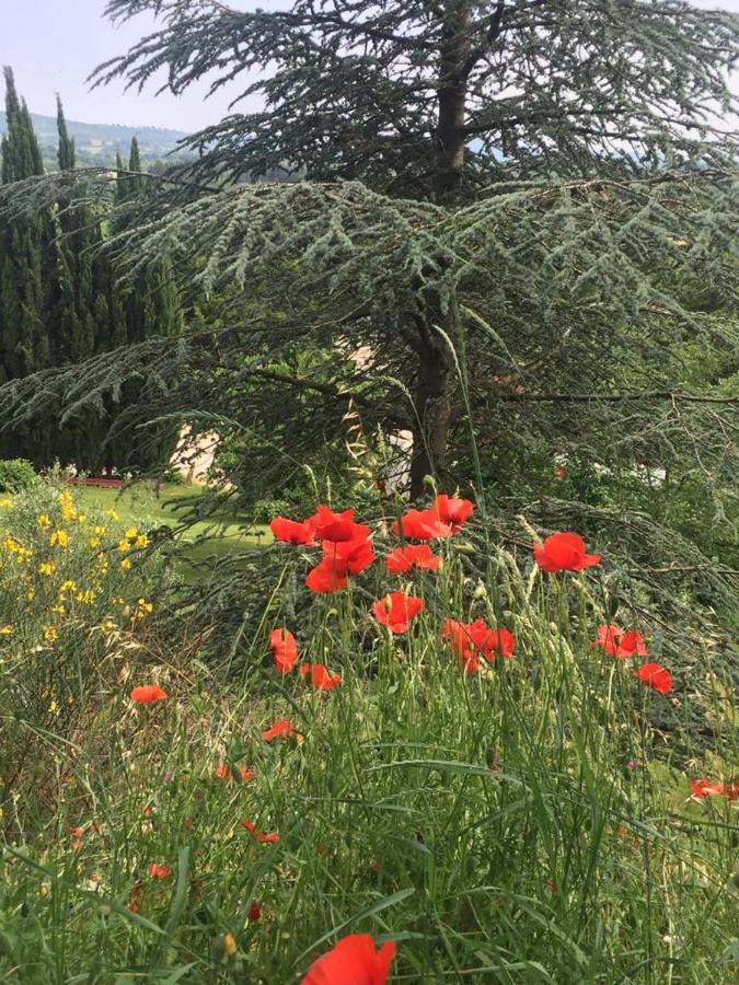 Casale Sant'Elia Bed & Breakfast Capranica Exterior photo