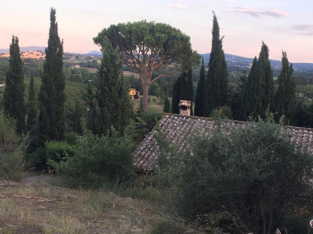 Casale Sant'Elia Bed & Breakfast Capranica Exterior photo